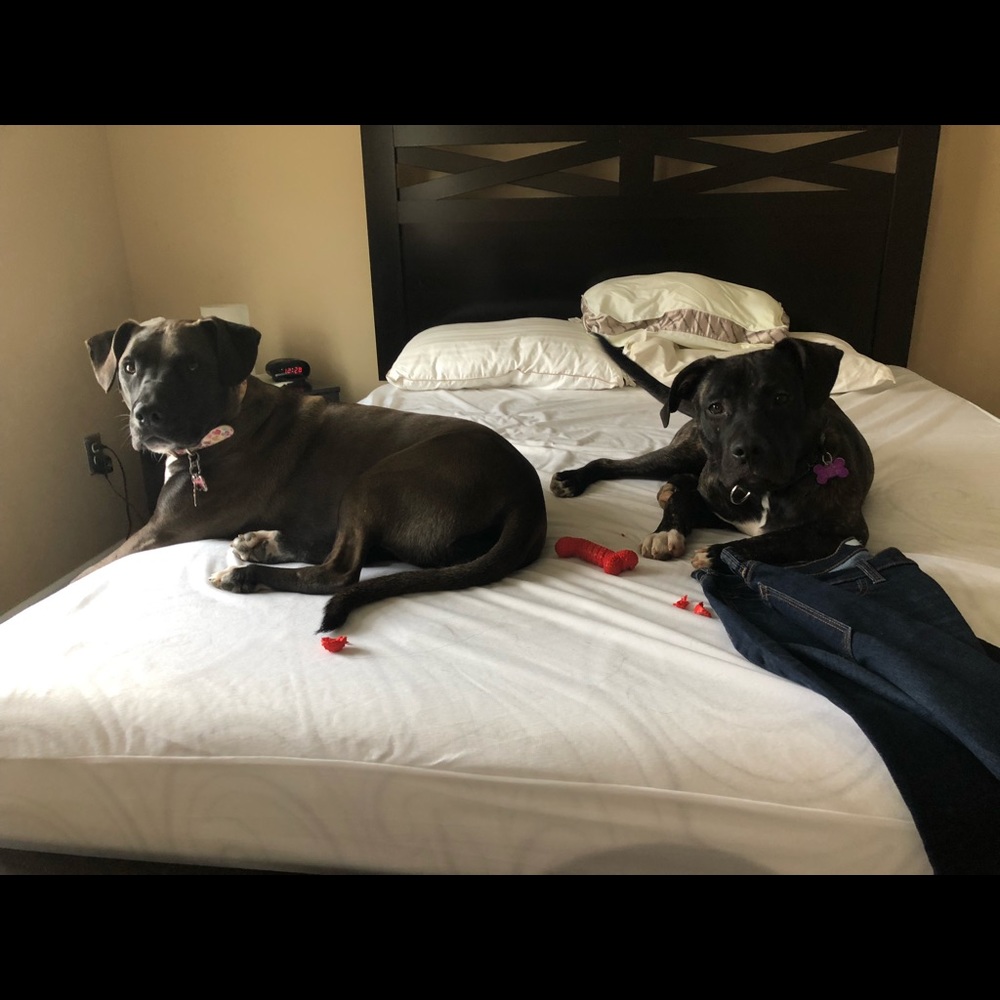 Please Share Closet 🙏 Posher needs help ❤️ - Picture 6 of 11